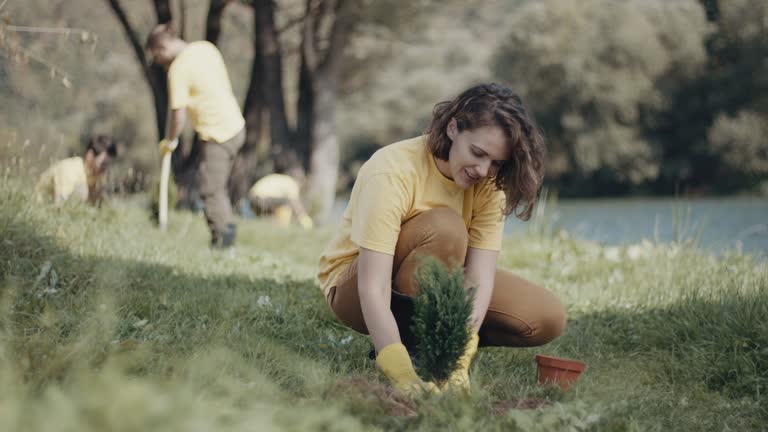 Best Soil Testing and Treatment  in Silver Lake, NC